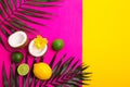 Tropical bright colorful background with exotic tropical palm leaves., coconuts, lime, lemon