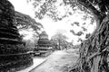 Tropical Buddhist Temple Complex Vintage Royalty Free Stock Photo