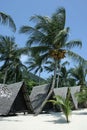 Tropical bungalows.