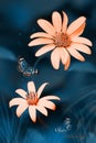 Tropical butterflies and orange bright summer flowers on a background of blue foliage in a fairy garden.