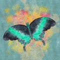 Tropical butterflies  print decorative vintage style illustration on grunge modern background Royalty Free Stock Photo