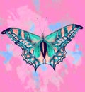 Tropical butterflies  print decorative vintage style illustration on grunge modern background Royalty Free Stock Photo