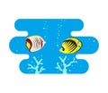 Tropical butterfly fishes on blue background.