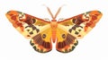 The tropical butterfly flying in the sky. The beautiful exotic moth with graceful wings. Abstract summer insect. Fairy