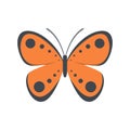 Tropical butterfly icon, flat style. Royalty Free Stock Photo