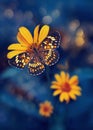 Tropical butterfly and yellow bright summer flowers on a background of blue foliage in a fairy garden. Macro artistic image.