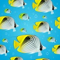 Tropical butterflyfish - Seamless pattern