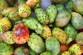 Tropical cactus fruits