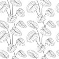 Tropical calathea leaves black outline drawing seamless pattern. White background.