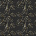 Tropical calathea leaves golden outline drawing seamless pattern. Black background.