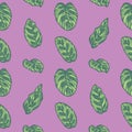 Tropical Calathea Makoyana Prayer Plant leaf seamless pattern on violet background