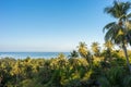 Tropical calm landscape with palms. High angle view on sea horizon, clear blue sky