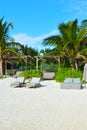 Tropical calm relaxation vacation. sea beach resort with beach and palm trees.