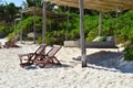 Tropical calm relaxation vacation at the sea. sea beach resort with beach and palm trees.