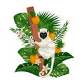 tropical capuchin monkey in pineapple plant and leafs