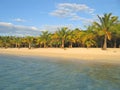 Tropical caraibe beach Royalty Free Stock Photo