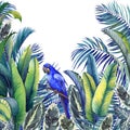 Tropical card with blue macaw parrot, palm trees, banana and calathea leaves. Royalty Free Stock Photo