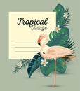 tropical card with exotic flamish and leaves Royalty Free Stock Photo