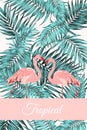 Tropical card jungle leaves flamingo birds couple Royalty Free Stock Photo