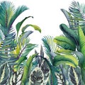 Tropical card with palm trees, banana and calathea leaves.