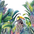 Tropical card with Toucan, palm trees, pineapples, banana and calathea leaves.