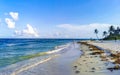 Tropical Caribbean beach water seaweed sargazo Playa del Carmen Mexico