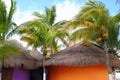 Tropical Caribbean Palapas hut coconut palm trees Royalty Free Stock Photo