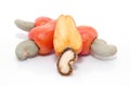 Tropical Cashew fruits