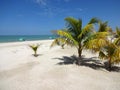 Tropical Celestun Beach in Yucatan