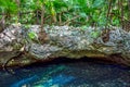 Tropical Cenote