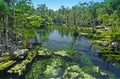 Tropical Cenote in Mexico