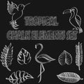 Tropical chalk elements collection, exotic vector illustration set with tropical plants and birds Royalty Free Stock Photo