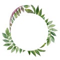 Tropical climbing plants. Watercolor round frame, vine branches isolated on white background. Hand painted green leaves, branches