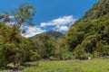 Tropical cloud forest in Baru Volcano National Park, Panama