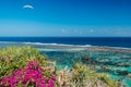 Tropical coast and blue ocean with paraglider in tropical island. Pink flowers and palms at shoreline