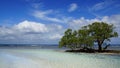 Tropical coast, Siquijor Island, Philippines Royalty Free Stock Photo