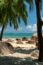 Tropical coast view with beach, stones and surrounding palm trees Royalty Free Stock Photo