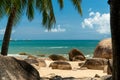 Tropical coast view with beach, stones and surrounding palm trees Royalty Free Stock Photo