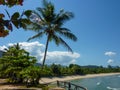 Tropical coast view with a palm tree, beach and stones Royalty Free Stock Photo