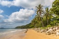 Tropical Coast with white Beach and Palm Trees of Mission Beach, Queensland, Australia Royalty Free Stock Photo