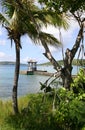 Tropical coastline