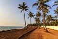 Tropical coastline, cliff with palm trees in Varkala, Kerala, India Royalty Free Stock Photo