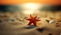 Tropical coastline, starfish in water, summer vacations generated by AI