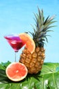 Tropical Cocktail Royalty Free Stock Photo