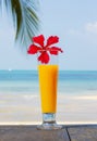 Tropical cocktail on the beach.