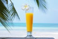 Tropical cocktail on the tropical background. Royalty Free Stock Photo