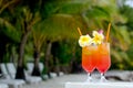 Tropical cocktails served outdoor in Aitutaki Lagoon Cook Island Royalty Free Stock Photo