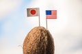 Tropical coconut with the American and Japanese flag in the form of a toothpick in female hands. Travel concept. Honeymoon Royalty Free Stock Photo