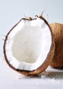 Tropical coconut brown food fruit Royalty Free Stock Photo