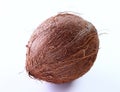 Tropical coconut isolated white background Royalty Free Stock Photo